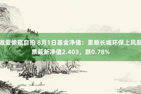 做爱偷窥自拍 8月1日基金净值：景顺长城环保上风股票最新净值2.403，跌0.78%