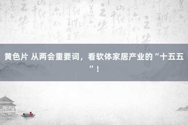 黄色片 从两会重要词，看软体家居产业的“十五五”！