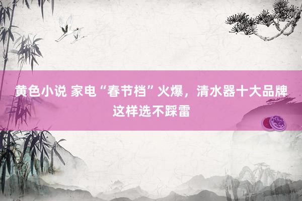黄色小说 家电“春节档”火爆，清水器十大品牌这样选不踩雷