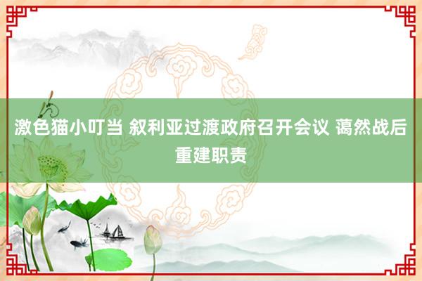 激色猫小叮当 叙利亚过渡政府召开会议 蔼然战后重建职责