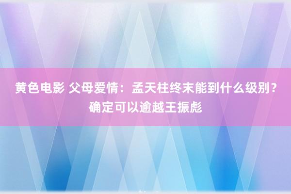 黄色电影 父母爱情：孟天柱终末能到什么级别？确定可以逾越王振彪