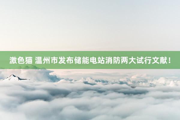 激色猫 温州市发布储能电站消防两大试行文献！
