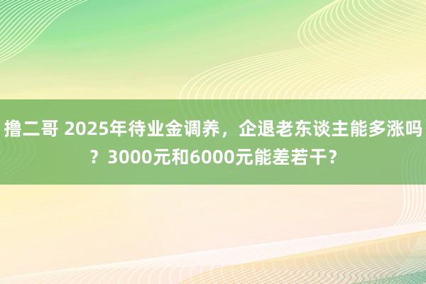 撸二哥 2025年待业金调养，企退老东谈主能多涨吗？3000元和6000元能差若干？