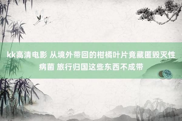 kk高清电影 从境外带回的柑橘叶片竟藏匿毁灭性病菌 旅行归国这些东西不成带