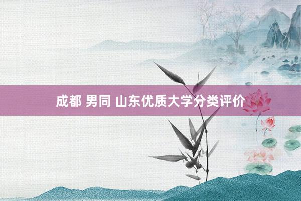 成都 男同 山东优质大学分类评价