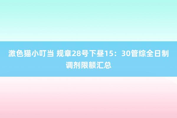 激色猫小叮当 规章28号下昼15：30管综全日制调剂限额汇总