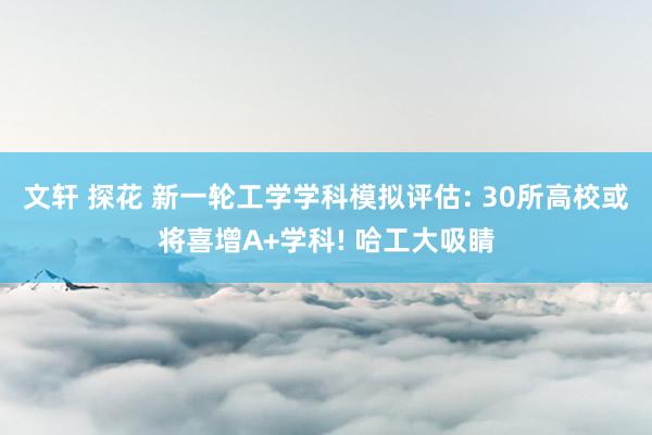 文轩 探花 新一轮工学学科模拟评估: 30所高校或将喜增A+学科! 哈工大吸睛