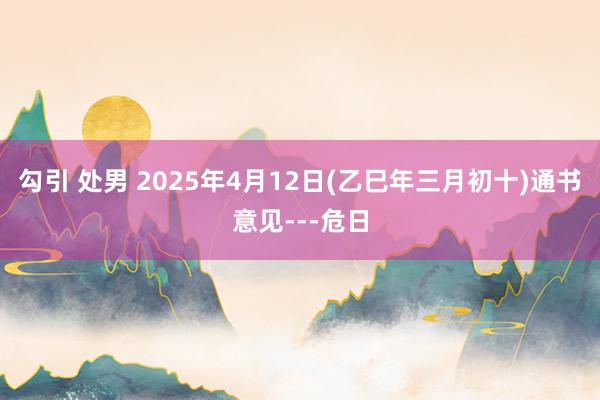 勾引 处男 2025年4月12日(乙巳年三月初十)通书意见---危日