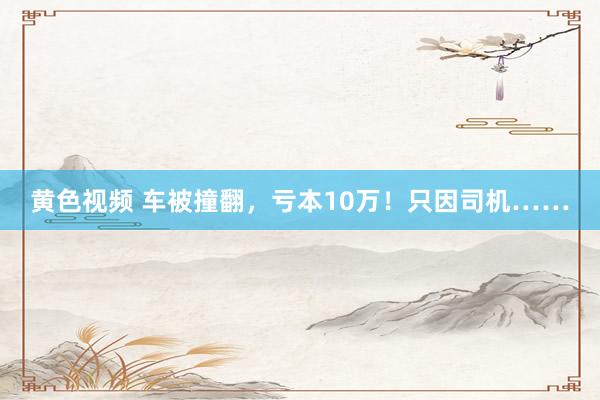 黄色视频 车被撞翻，亏本10万！只因司机……