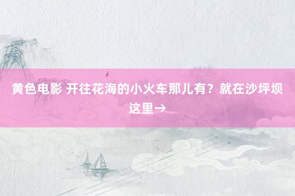 黄色电影 开往花海的小火车那儿有？就在沙坪坝这里→