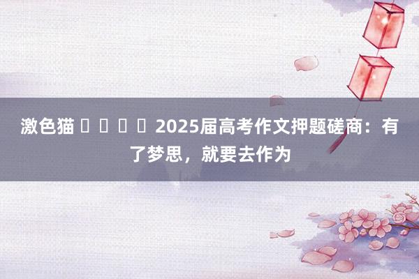 激色猫 ​​​​2025届高考作文押题磋商：有了梦思，就要去作为