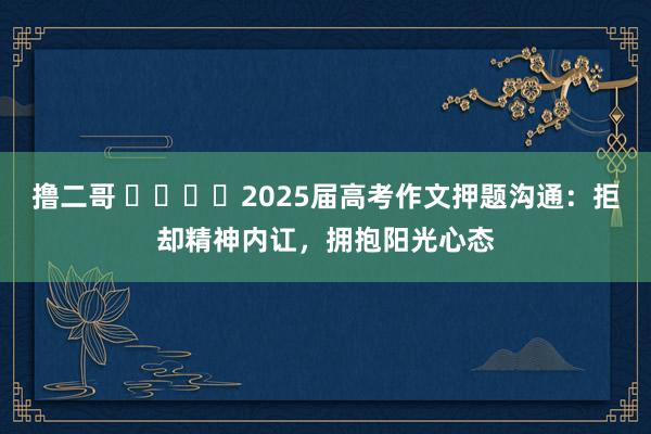 撸二哥 ​​​​2025届高考作文押题沟通：拒却精神内讧，拥抱阳光心态