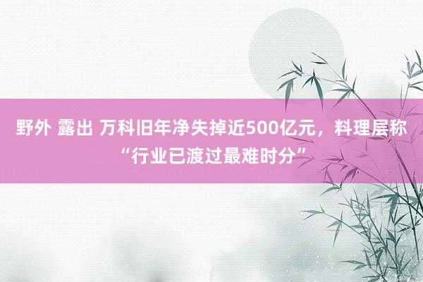 野外 露出 万科旧年净失掉近500亿元，料理层称“行业已渡过最难时分”